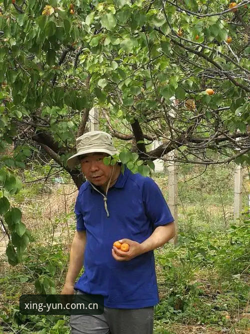 杏运娱乐平台新版登录深度评测：避开这三个坑，体验才算完整